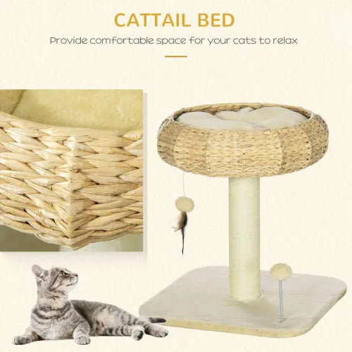 51cm Cat Tree Kitty Activity Centre w/ Top Bed, Toy Ball, Sisal Scratching Post *SHIPS WITHIN UK ONLY*