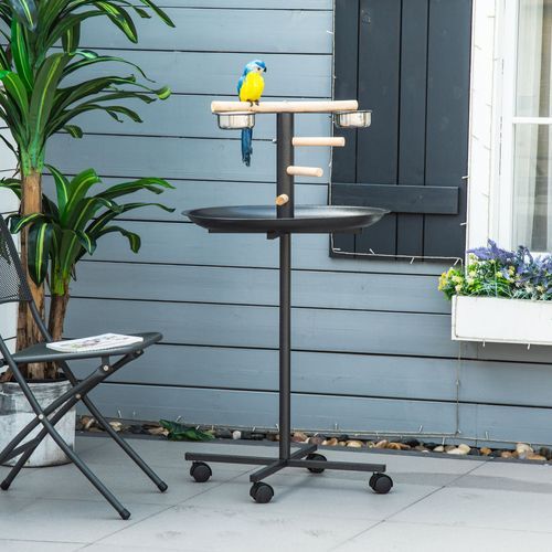 Bird Play Stand Portable Feeder Station w/ Wooden Perches, Stainless Steel Bowls *SHIPS WITHIN UK ONLY*