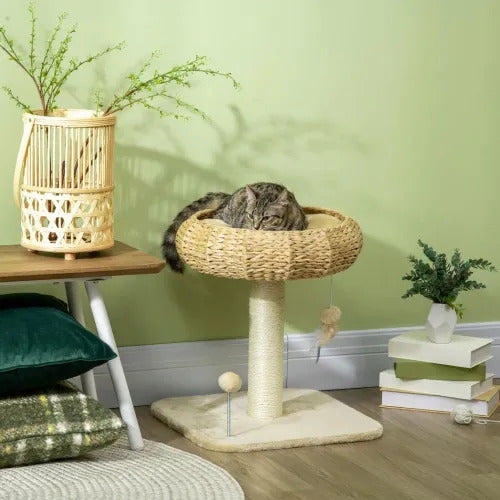 51cm Cat Tree Kitty Activity Centre w/ Top Bed, Toy Ball, Sisal Scratching Post *SHIPS WITHIN UK ONLY*