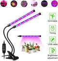 Double Headed Grow Light